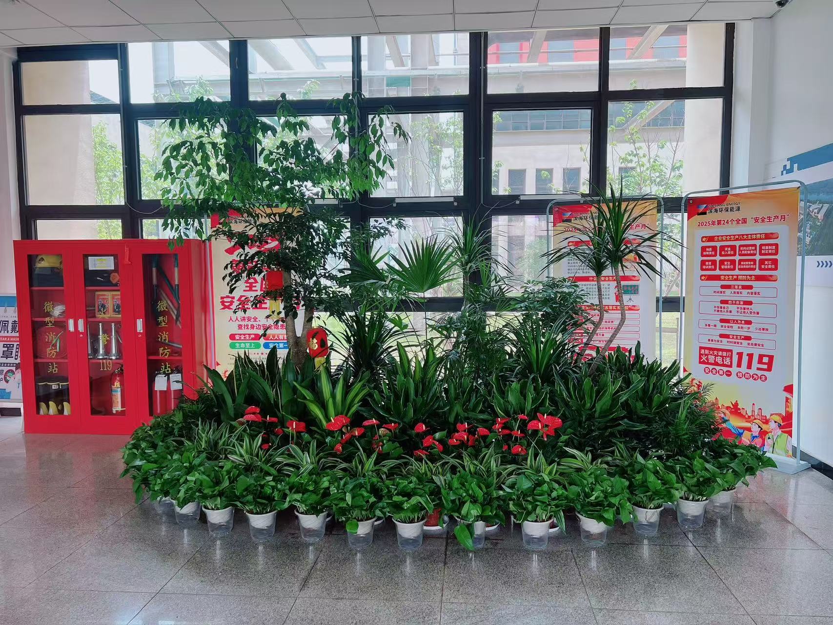 宁波余姚花卉出租方案